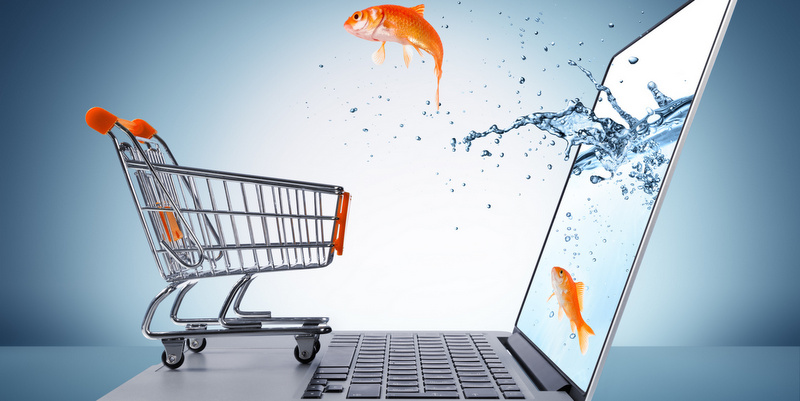 goldfish in cart - e-commerce concept