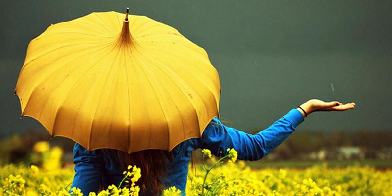 yellow-umbrella-122079