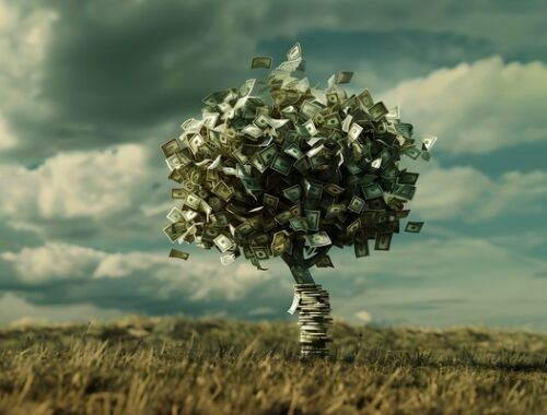 Distribuição de lucros